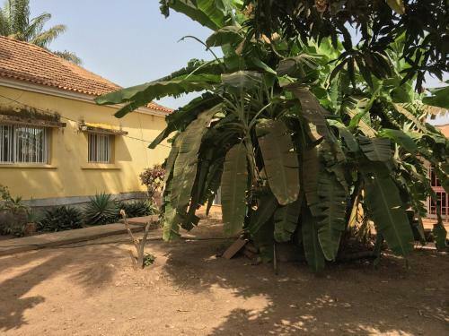 Casa Cacheu Low Cost Lodge In Bissau