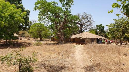 Casa Cacheu Low Cost Lodge In Bissau