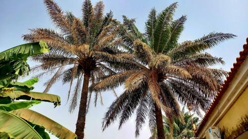 Casa Cacheu Low Cost Lodge In Bissau