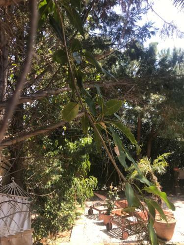 Il Giardino Romantico