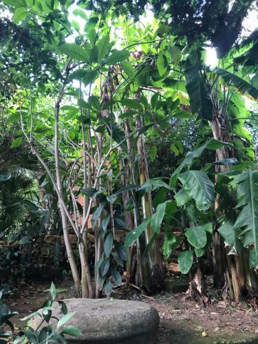 Il Giardino Romantico