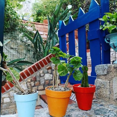 Apartamento Casa Flavia Con Piscina A 50 Metri Dal Mare