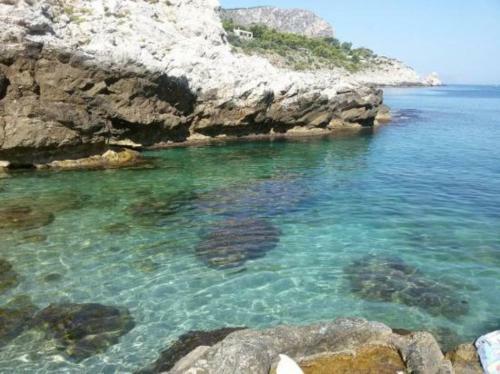 Apartamento Casa Flavia Con Piscina A 50 Metri Dal Mare