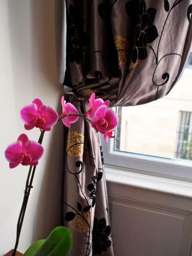 Bed & Breakfast Les Chambres D'art