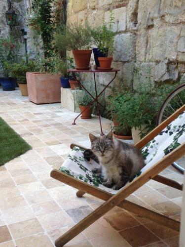 Bed & Breakfast Les Chambres D'art