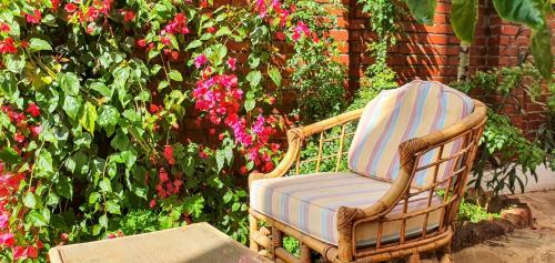 Hostal Sara Guesthouse Luxor