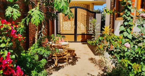 Hostal Sara Guesthouse Luxor