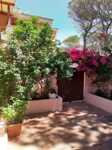 Apartamento A Due Passi Dalla Spiaggia