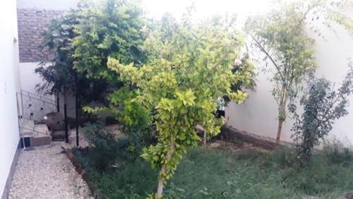 Apartamento Green Valley Home