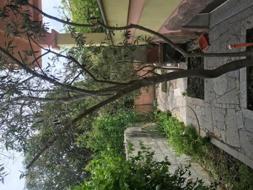 Apartamento App 100 Mt Mare Sa Preta Ruja