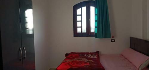 Apartamento Little Oasis