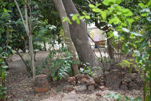 Villa Amarant - Private Garden With Pool Retreat