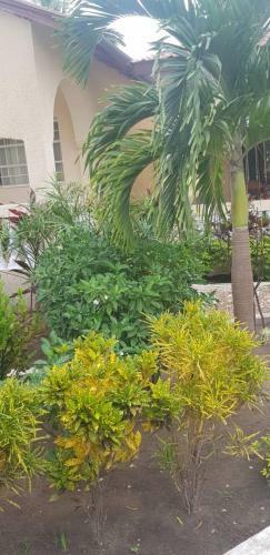 Hostal Sambou?s Apartments