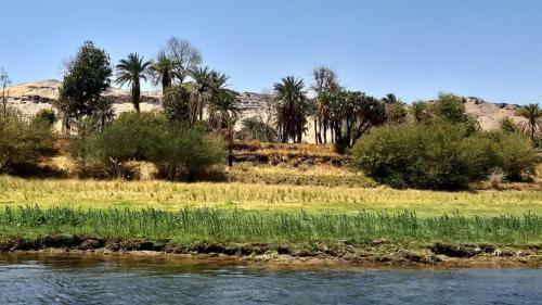 Hostal Habibi Nubian Guesthouse Aswan