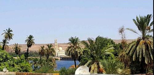 Hostal Habibi Nubian Guesthouse Aswan