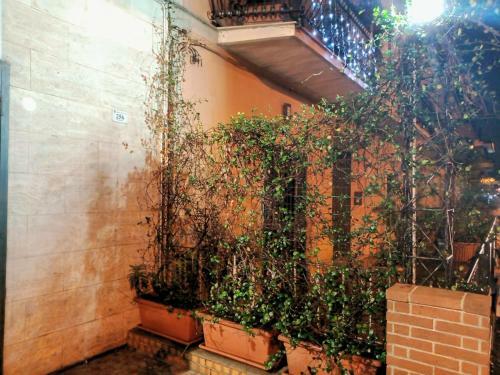 Hostal Le Stanze Di Ginevra - Santa Maria A Vico