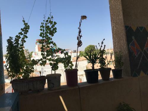 Bed & Breakfast Nubian Paradise