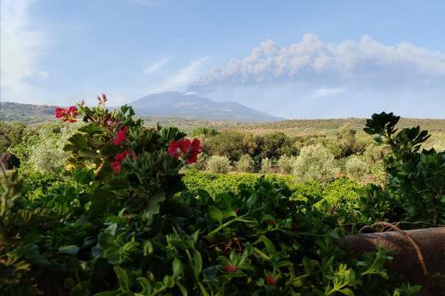 Lavica - Country Guest House