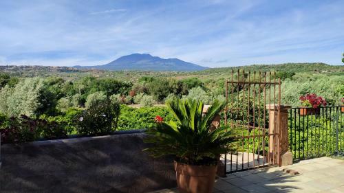 Lavica - Country Guest House