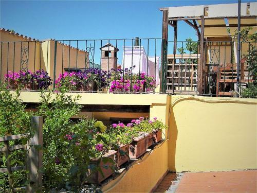 Appartamenti Vacanze Borghetto Vetuliae