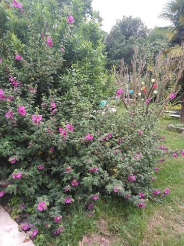 Bed & Breakfast Ch�teau De La Prade