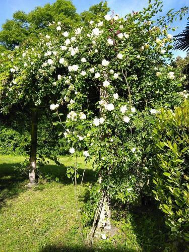 Bed & Breakfast Ch�teau De La Prade