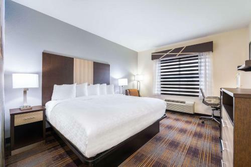 Hotel Baymont Inn & Suites - Madison