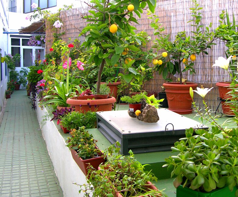 Apartamentos Calypso
