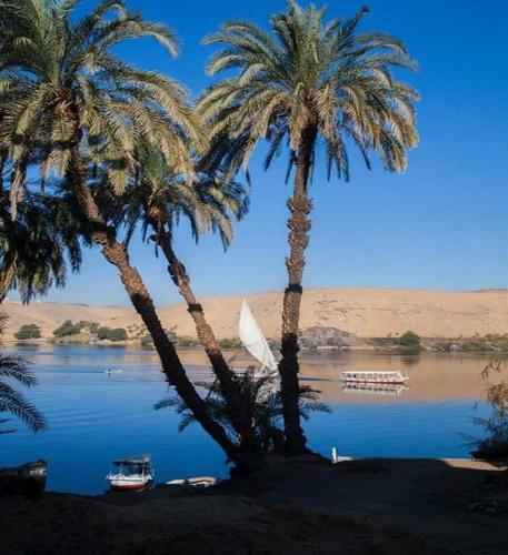Hostal Bayt Zaina - Nubian Hospitality House