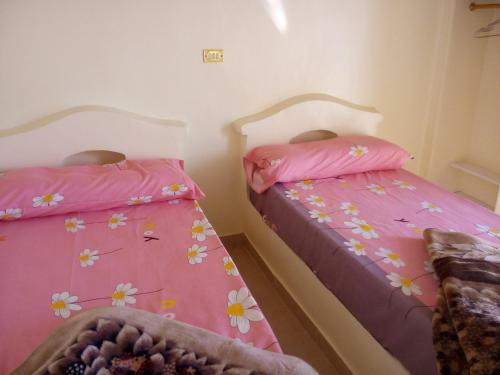 Apartamento Roma House