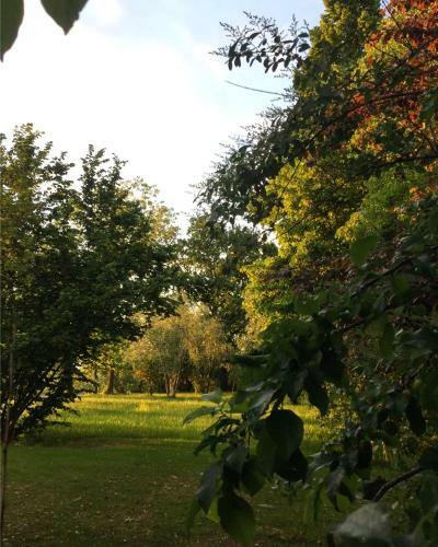Happy Hill - Appartamento Bamb�-natura E Relax