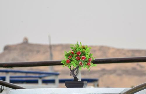 Shehrazad Nile Floating Hotel