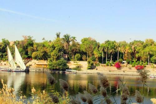 Hostal Cattleya Nubian Guest House