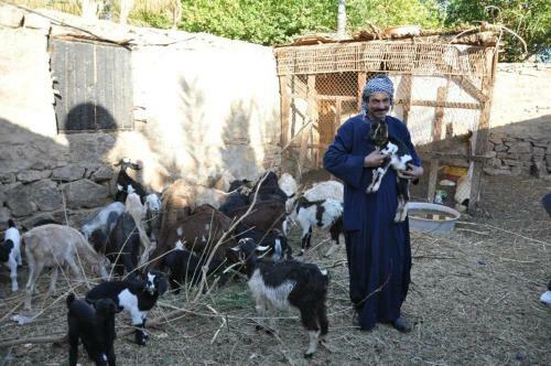 Agroturismo Nubian Farm Aswan