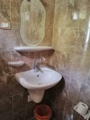 Hostal Animalia Rooms 2
