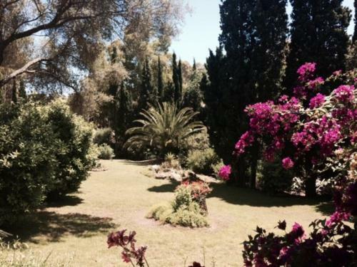 Villa Flaminia