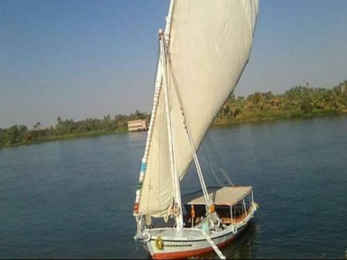 My Dream Nile Felucca