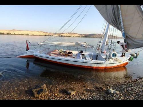 My Dream Nile Felucca