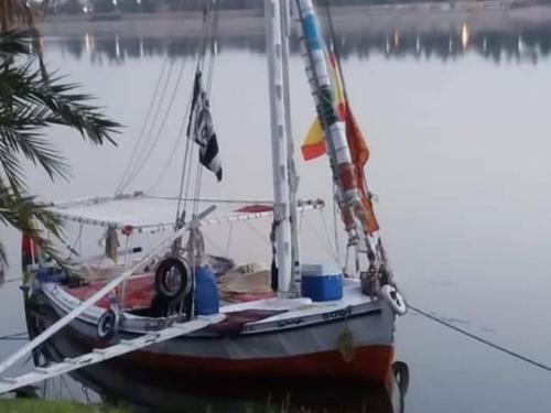 My Dream Nile Felucca