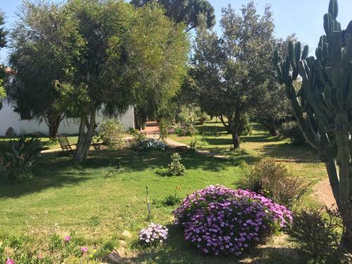 Apartamento Podere 31