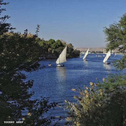 Nubia Castle