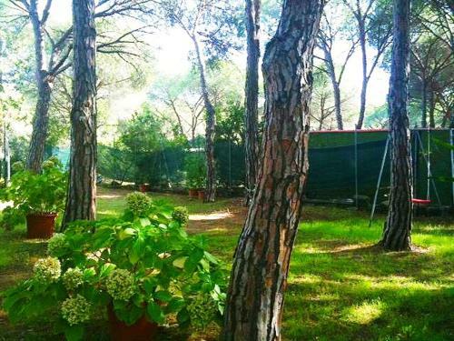 Apartamento Villa Dei Pini