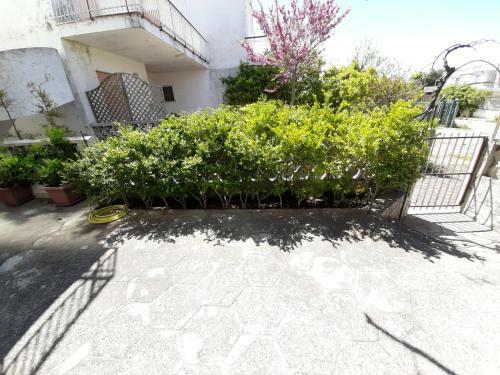 Mare & Relax Apartments