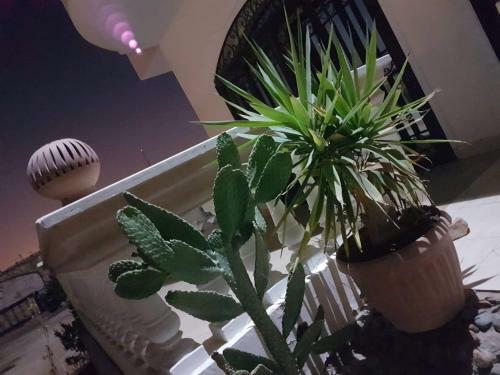 Diverhouse Apartment