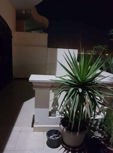 Diverhouse Apartment