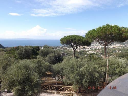 Apartamento Appartamento Villa Degli Ulivi