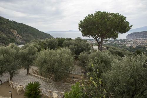 Apartamento Appartamento Villa Degli Ulivi