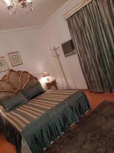 Duplex Apartment On The Nile In Dokki