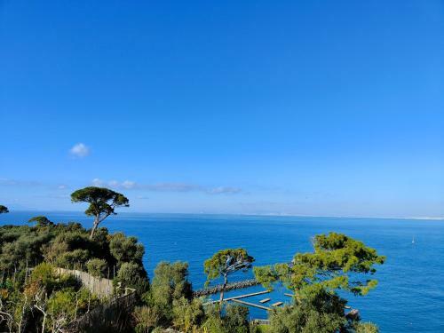 Apartamento Villa Preziosa-rubino