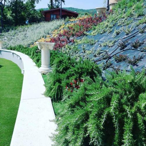 Bed & Breakfast Bosco D'olmi Country House